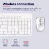 Trust Ody II klaviatuur koos hiirega Kodu/Kontor RF juhtmevaba QWERTY USA inglise keel Valge