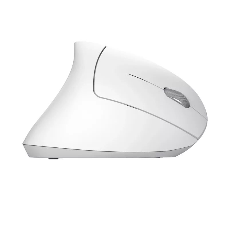 Trust Verto hiir Kontor Paremakäeline RF-juhtmevaba Optiline 1600 DPI
