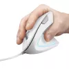 Trust Verto hiir Kontor Paremakäeline USB Type-A Optiline 1600 DPI