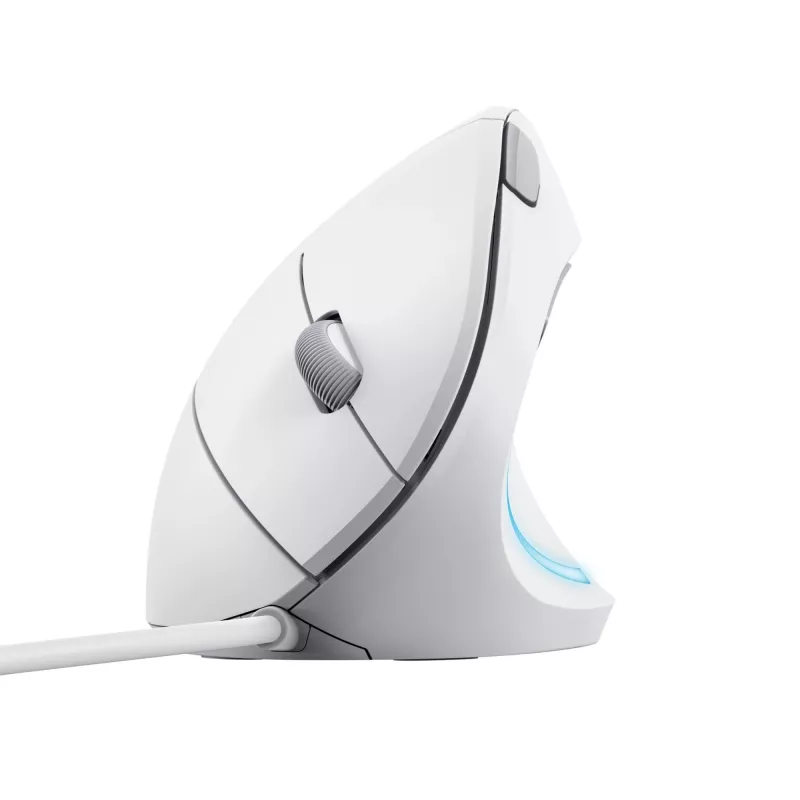 Trust Verto hiir Kontor Paremakäeline USB Type-A Optiline 1600 DPI