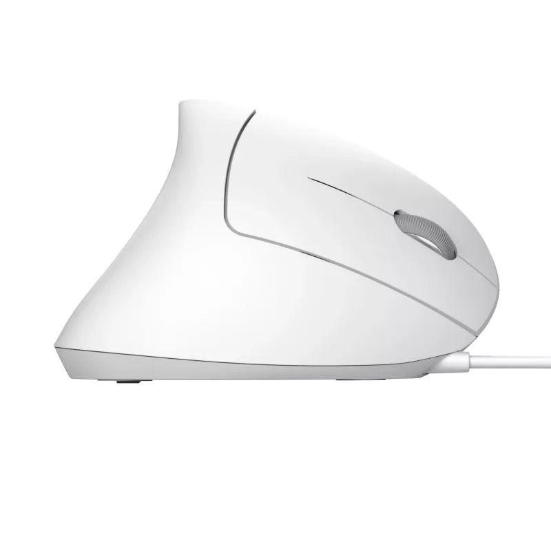 Trust Verto hiir Kontor Paremakäeline USB Type-A Optiline 1600 DPI