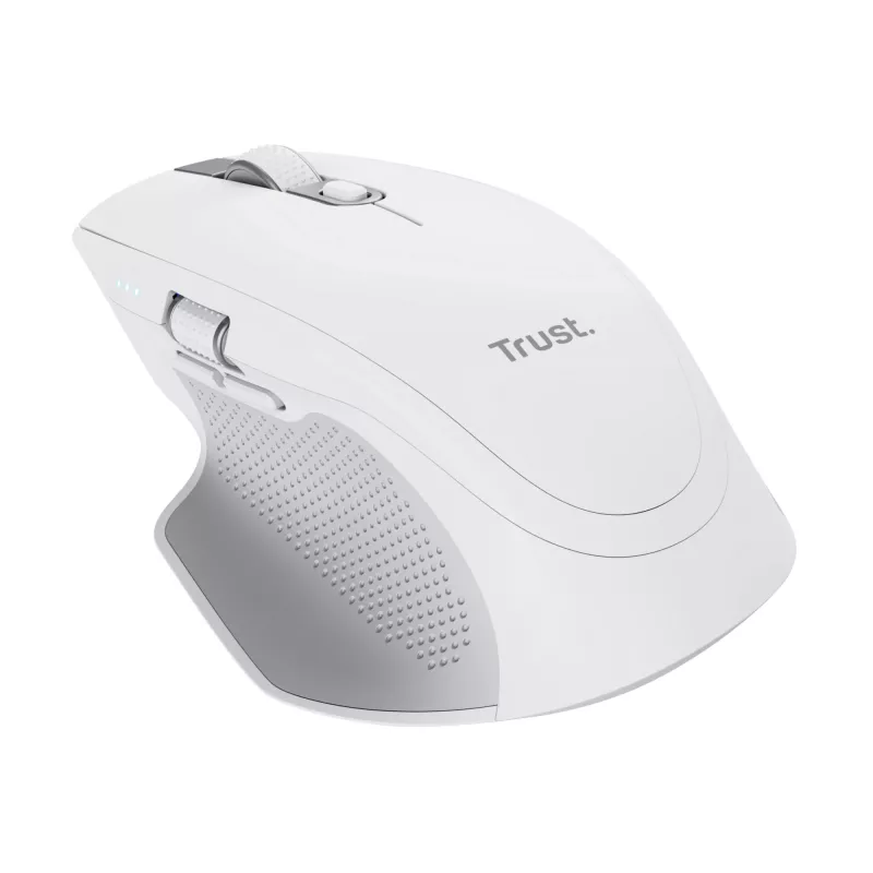 Trust Ozaa+ hiir, kontor, paremakäeline, RF juhtmevaba + Bluetooth 24935