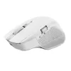 Trust Ozaa+ hiir, kontor, paremakäeline, RF juhtmevaba + Bluetooth 24935