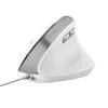 Trust Bayo II hiir kontor Paremakäeline USB Type-A optiline 2400 DPI
