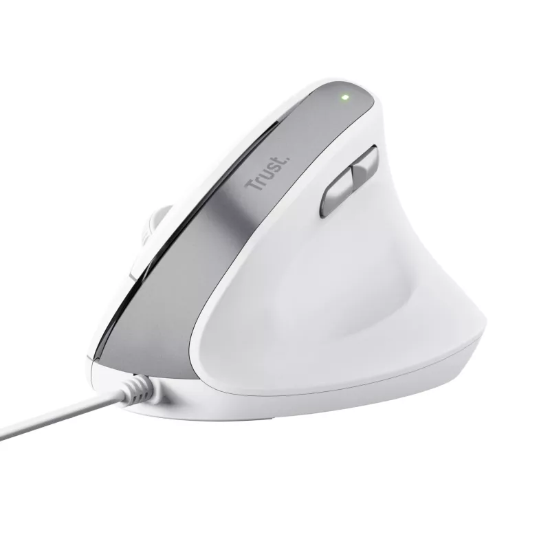 Trust Bayo II hiir kontor Paremakäeline USB Type-A optiline 2400 DPI
