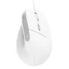 Trust Bayo II hiir kontor Paremakäeline USB Type-A optiline 2400 DPI