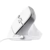 Trust Bayo II hiir kontor Paremakäeline USB Type-A optiline 2400 DPI