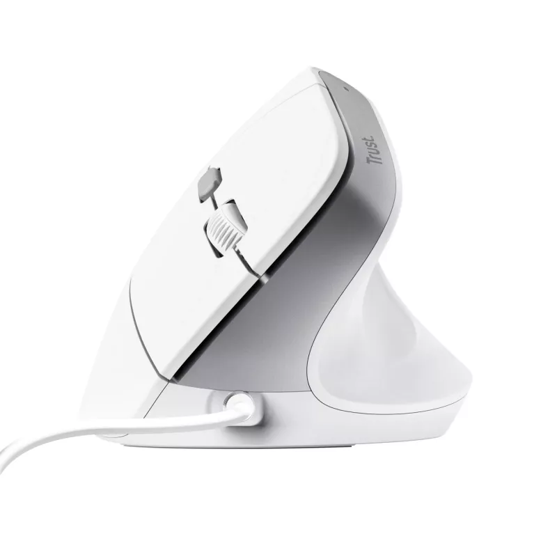 Trust Bayo II hiir kontor Paremakäeline USB Type-A optiline 2400 DPI