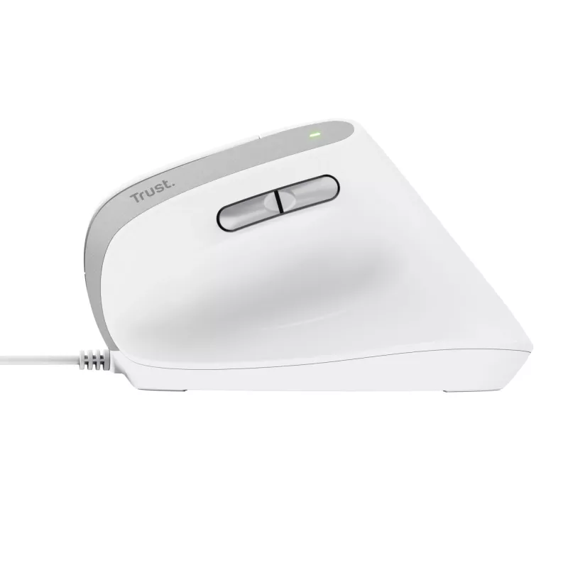 Trust Bayo II hiir kontor Paremakäeline USB Type-A optiline 2400 DPI