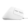 Trust Bayo II hiir kontor Paremakäeline USB Type-A optiline 2400 DPI