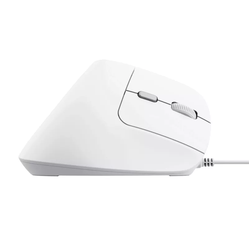 Trust Bayo II hiir kontor Paremakäeline USB Type-A optiline 2400 DPI