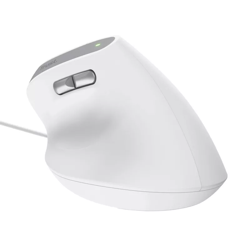 Trust Bayo II hiir kontor Paremakäeline USB Type-A optiline 2400 DPI