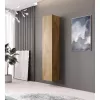 Seinakapp Cama Meble VIGO 180, 1800×400×300 mm, Wotani tamm