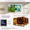 Televiisor Samsung QE65LS03FAUXXH 65 tolli The Frame QLED 4K HDR Smart TV, 3840×2160, Tizen, 120Hz