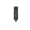 Dünaamiline ringhäälingumikrofon Beyerdynamic M 70 PRO X — juhtmega, kõnele kohandatud sageduskarakteristik