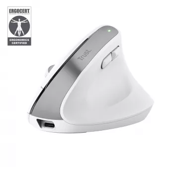 Trust Bayo+ hiir Office Paremakäeline RF traadita + Bluetooth Optiline 2400 DPI