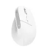 Trust Bayo+ hiir Office Paremakäeline RF traadita + Bluetooth Optiline 2400 DPI