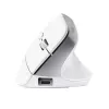 Trust Bayo+ hiir Office Paremakäeline RF traadita + Bluetooth Optiline 2400 DPI
