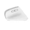 Trust Bayo+ hiir Office Paremakäeline RF traadita + Bluetooth Optiline 2400 DPI