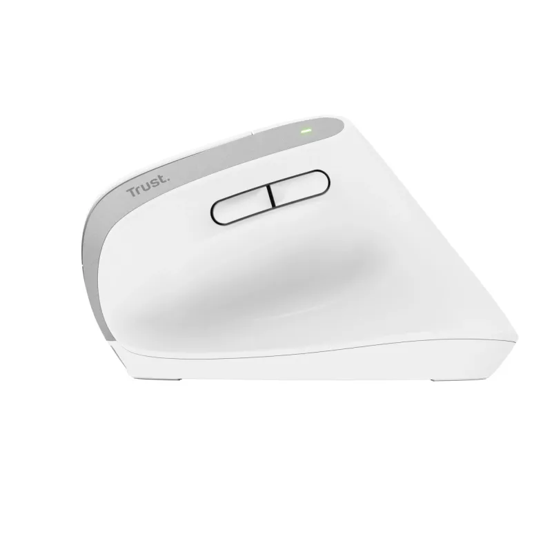 Trust Bayo+ hiir Office Paremakäeline RF traadita + Bluetooth Optiline 2400 DPI
