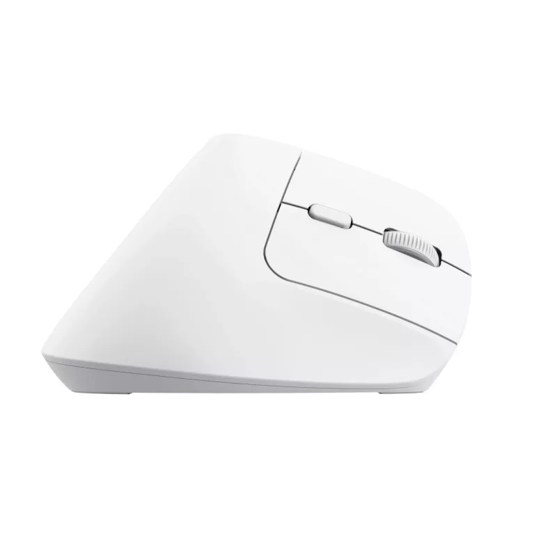 Trust Bayo+ hiir Office Paremakäeline RF traadita + Bluetooth Optiline 2400 DPI