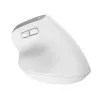 Trust Bayo+ hiir Office Paremakäeline RF traadita + Bluetooth Optiline 2400 DPI