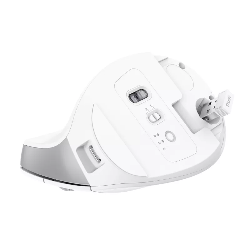 Trust Bayo+ hiir Office Paremakäeline RF traadita + Bluetooth Optiline 2400 DPI