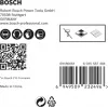 Bosch Expert 2 608 900 597 puuritera Puuriterade komplekt 5 tk