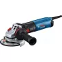 Bosch GWS 17-125 PS PROFESSIONAL nurklihvija 12,5 cm 11500 p/min 1700 W 2,2 kg
