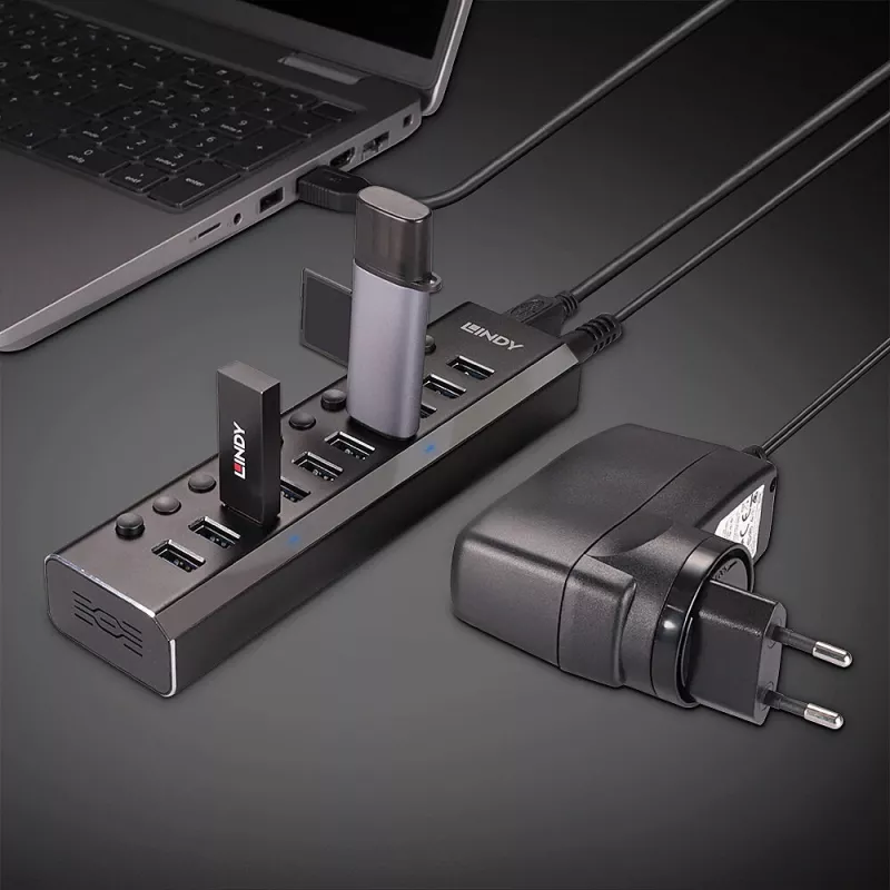 Lindy 10 pordiga USB 3.0 jaotur sisse-/väljalülititega