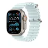 APPLE 49 mm Ice Sinine Ocean Bandi pikendus - Natural Titanium Finish