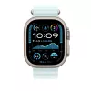 APPLE 49 mm Ice Sinine Ocean Bandi pikendus - Natural Titanium Finish