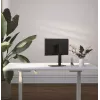 Monitor desk stand GEMBIRD MS-D1ST-02 — height-adjustable full-motion for 17–32 inch screens, max 8 kg, VESA 75x75–100x100, Must
