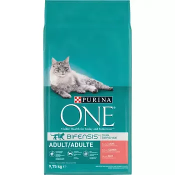 Purina ONE Adult kuivtoit kassidele lõhega, 9,75 kg