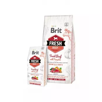 Brit Fresh Beef with Pumpkin Puppy Large Bones & Joints koeratoit