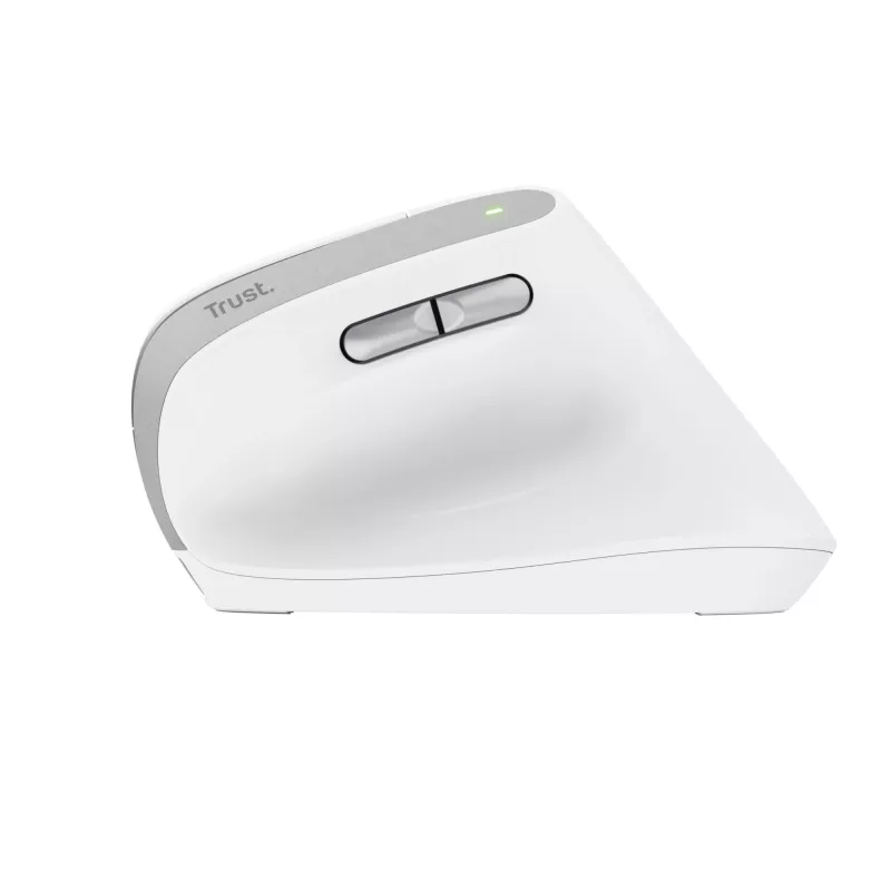 Trust Bayo II hiir Kontor Paremakäeline RF-juhtmevaba Optiline 2400 DPI
