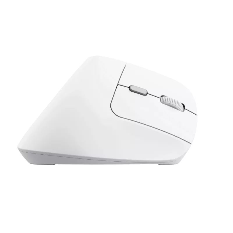 Trust Bayo II hiir Kontor Paremakäeline RF-juhtmevaba Optiline 2400 DPI