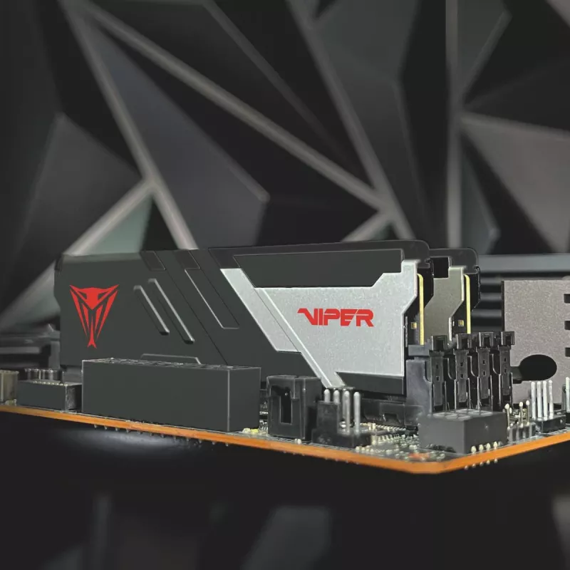 PATRIOT MEMORY mälu - Viper Venom - 32 GB 2 x 16 GB DDR5 7000 MHz