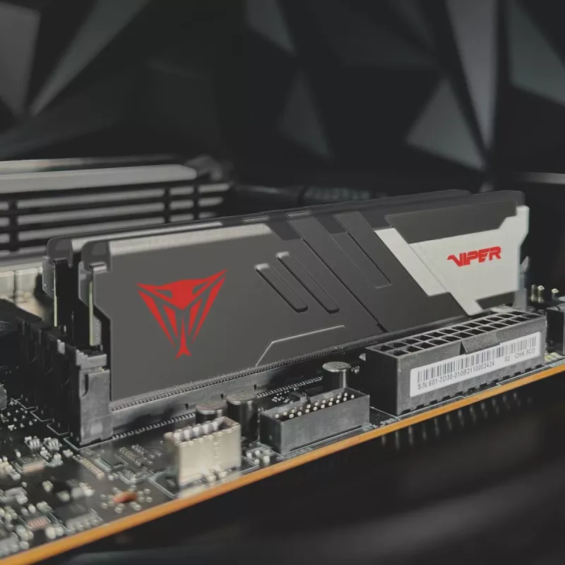 PATRIOT MEMORY mälu - Viper Venom - 32 GB 2 x 16 GB DDR5 7000 MHz