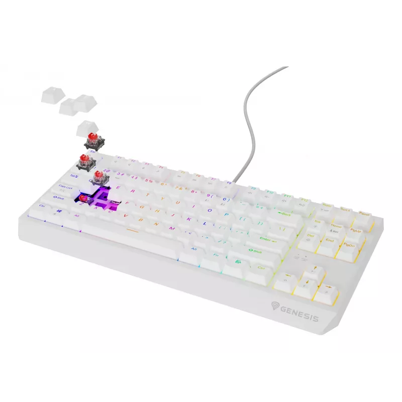 GENESIS Thor 230 TKL klaviatuur Mängimine USB QWERTY USA inglise Valge