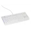 GENESIS Thor 230 TKL klaviatuur Mängimine USB QWERTY USA inglise Valge
