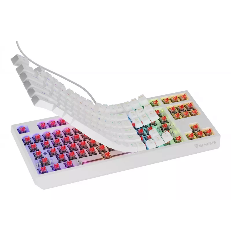 GENESIS Thor 230 TKL klaviatuur Mängimine USB QWERTY USA inglise Valge
