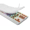 GENESIS Thor 230 TKL klaviatuur Mängimine USB QWERTY USA inglise Valge