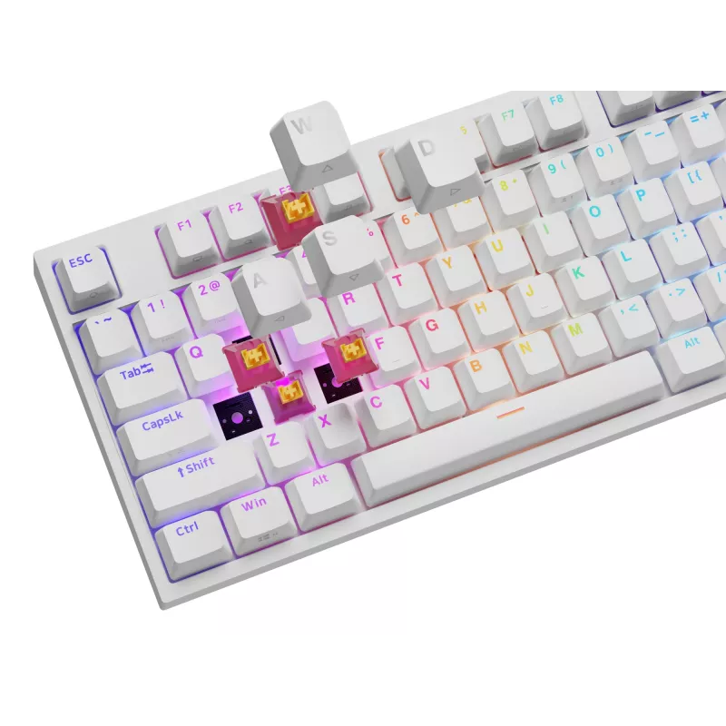 GENESIS NKG-2300 klaviatuur Universaalne USB QWERTY inglise keel Valge