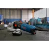 Bosch GWS 17-125 TS nurklihvija 12.5 cm 9700 p/min 1700 W 2.2 kg