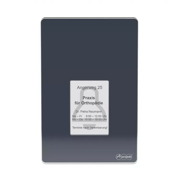 Auerswald TFS-Dialog 400 uksefon, antratsiit