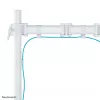 Neomounts NM-D135Valge Monitori käsi 10–30 tolli, Klamber/Läbiviigukinnitus, 8 kg, 25,4 cm (10 tolli), 76,2 cm (30 tolli), 100 x 100 mm, Valge