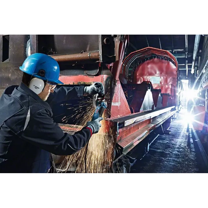 Bosch GWS 19-125 CIE Professional nurklihvija 12,5 cm 11500 p/min 1900 W 2,4 kg