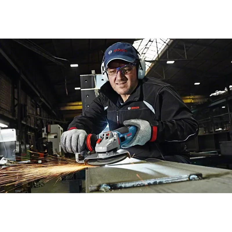 Bosch GWS 19-125 CIE Professional nurklihvija 12,5 cm 11500 p/min 1900 W 2,4 kg
