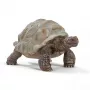 Figuur, Schleich, WILD LIFE hiidkilpkonn